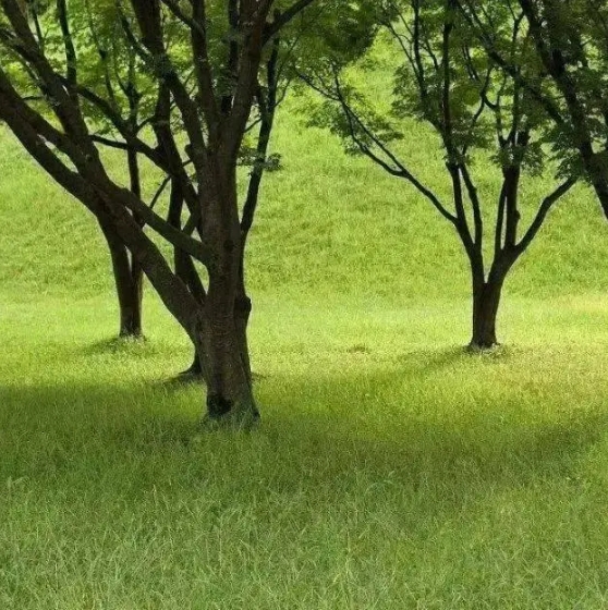 微信截图_20240312142637.png