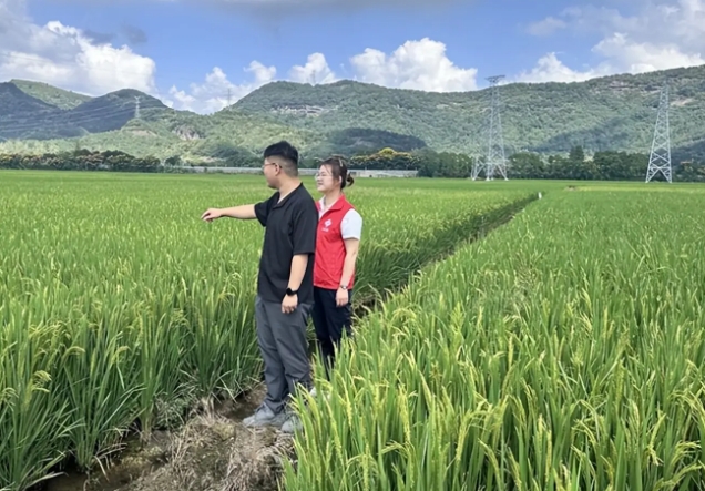 金秋丰收粮满仓 浙江稠州商业银行金融力量